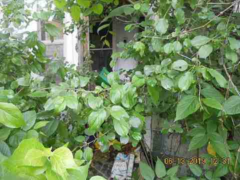 14657 Blackstone (3)_m.jpg